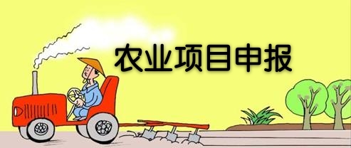 农业项目申报